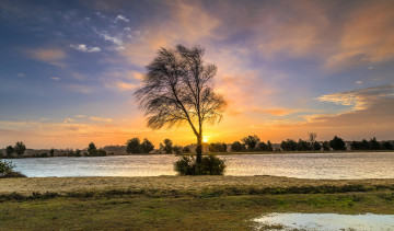 Картинка природа деревья простор