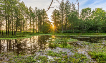 Картинка природа реки озера простор