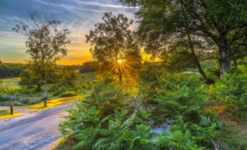 Картинка природа дороги простор