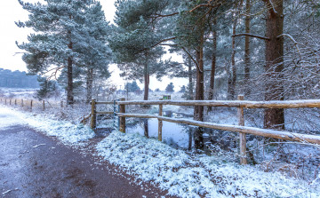 Картинка природа зима простор