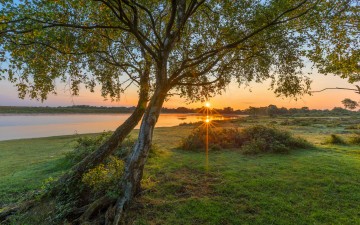 Картинка природа реки озера простор