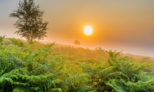 Обои картинки фото природа, восходы, закаты, простор