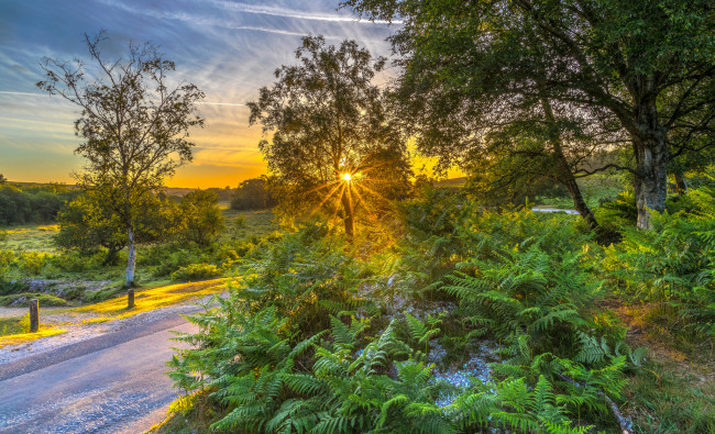 Обои картинки фото природа, дороги, простор