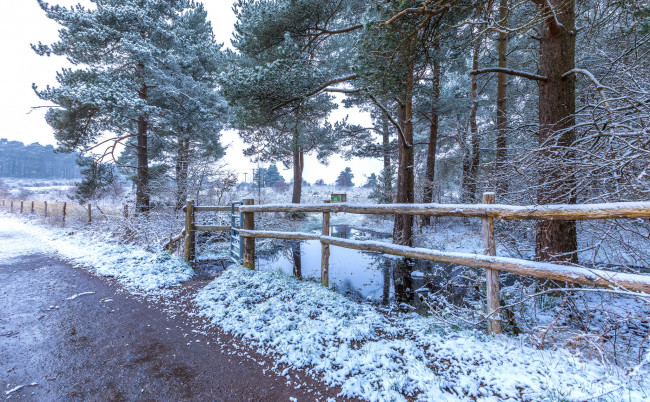 Обои картинки фото природа, зима, простор