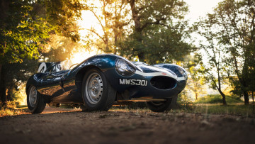 Картинка автомобили jaguar 1955 d-type