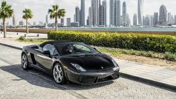 Картинка автомобили lamborghini gallardo