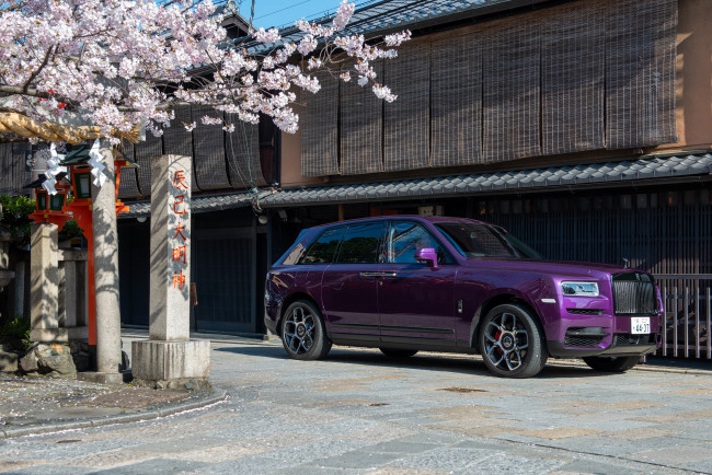 Обои картинки фото автомобили, rolls-royce, cullinan