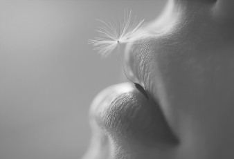 Картинка разное губы макро семя