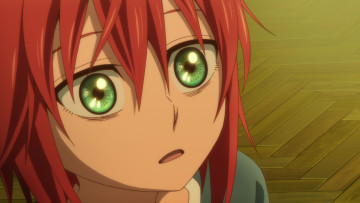 Картинка аниме mahou+tsukai+no+yome невеста чародея