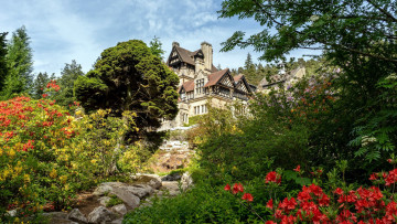 Картинка города -+здания +дома особняк цветы