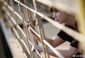 Картинка мужчины zheng+fan+xing актер ограда