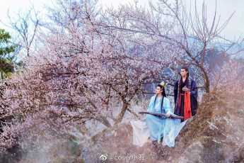 Картинка мужчины -+креатив +косплей костюмы дерево цветение