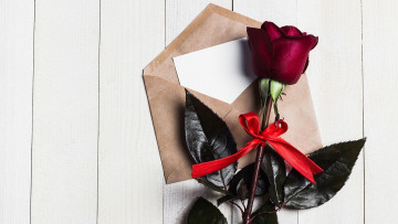 Картинка цветы розы конверт роза бордо лента