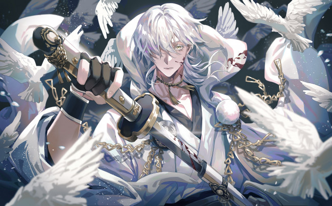 Обои картинки фото аниме, touken ranbu, парень, птицы, меч