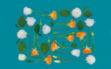 Картинка цветы разные+вместе розы хризантемы