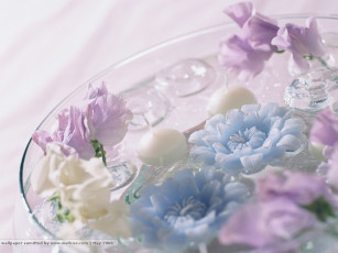 Картинка цветы разные вместе