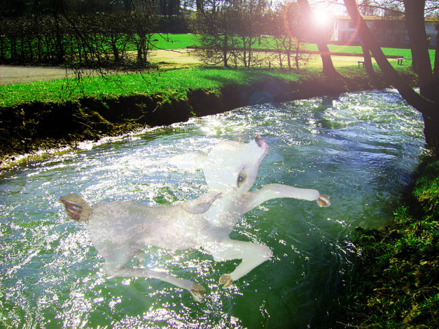 Обои картинки фото разное