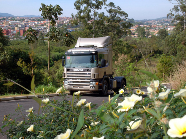 Обои картинки фото автомобили, scania