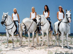 Картинка vanilla ninja музыка