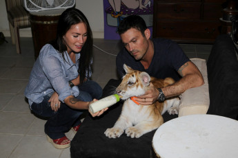 Картинка megan fox and brian austin green разное знаменитости тигренок