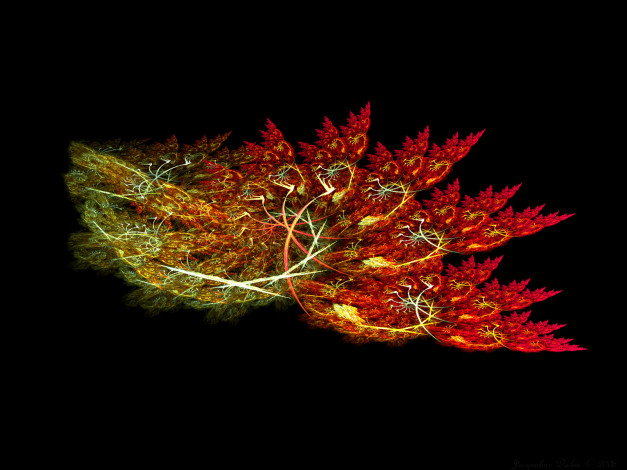 Обои картинки фото 3д, графика, fractal, фракталы, абстракция