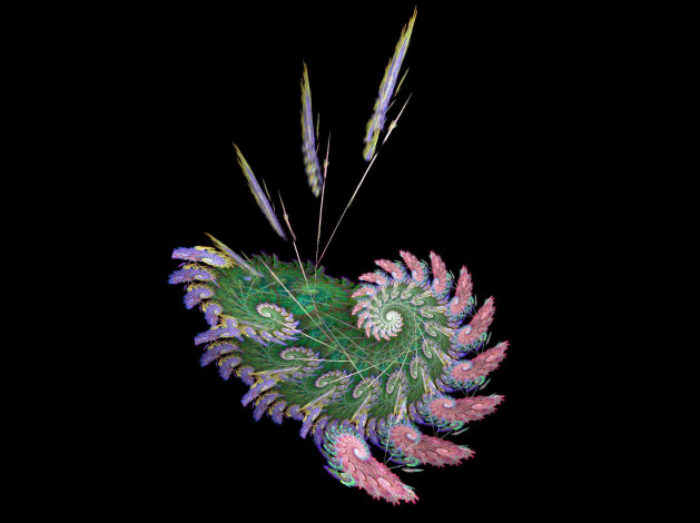 Обои картинки фото 3д, графика, fractal, фракталы, абстракция