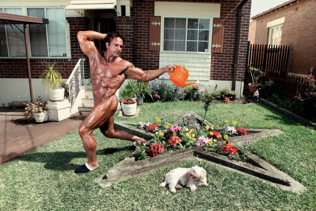 Обои картинки фото юмор, приколы, тапочки, клумба, собака, лейка, мышцы, культурист