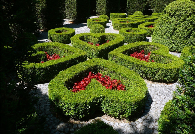 Обои картинки фото природа, парк, сердце, кусты