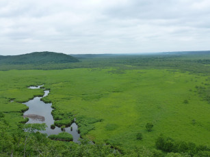 Картинка природа луга луг