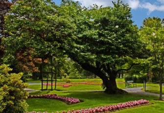 Картинка природа парк цветы деревья