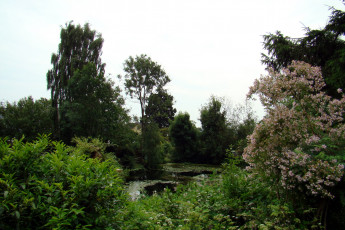 Картинка дания обенро природа реки озера река