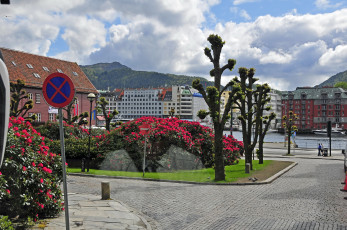 Картинка норвегия берген города улицы площади набережные