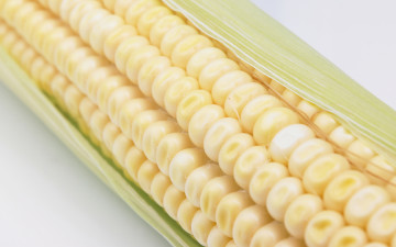 Картинка еда кукуруза