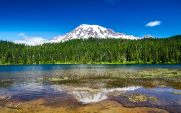 Картинка mount rainier national park природа реки озера озеро гора лес