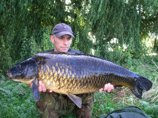 Обои картинки фото уловчик, животные, рыбы, карп, огромный, рыбак