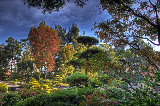 Обои картинки фото earl, burns, miller, japanese, garden, california, usa, природа, парк, водоем, мостики, сад