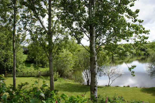 Обои картинки фото дания, rоdekro, природа, реки, озера, растения, озеро