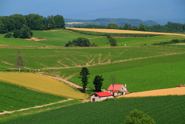 Обои картинки фото природа, поля