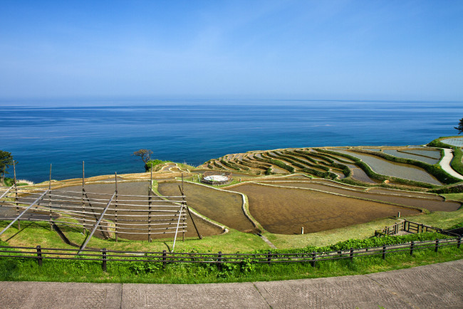 Обои картинки фото природа, поля, море