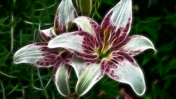 Картинка 3д графика flowers цветы лепестки