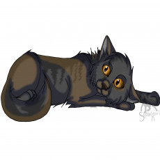 Картинка рисованные животные +коты животное белый фон