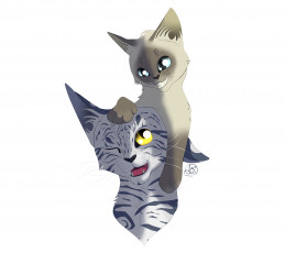 Картинка рисованные животные +коты белый фон