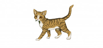 Картинка рисованные животные +коты животное белый фон