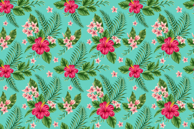 Обои картинки фото векторная графика, цветы , flowers, гибискус, плюмерия, тропики, цветы