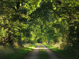 Картинка природа дороги тракт