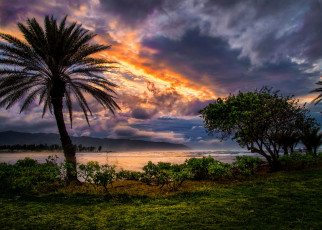 Картинка природа тропики океан берег