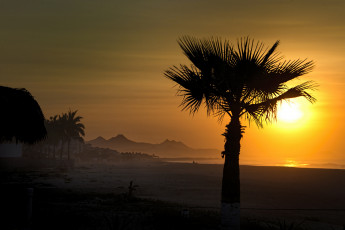 Картинка природа тропики океан берег