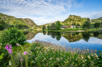 Картинка города -+пейзажи лес река
