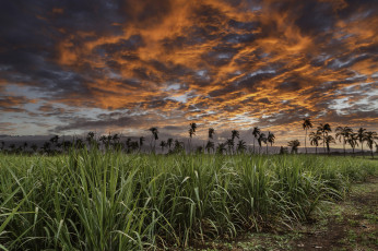 Картинка природа восходы закаты океан берег