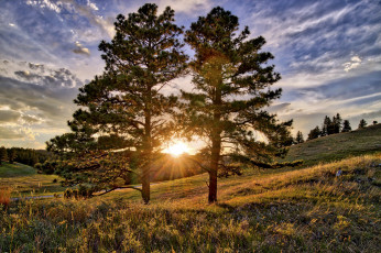 Картинка природа восходы закаты рассвет